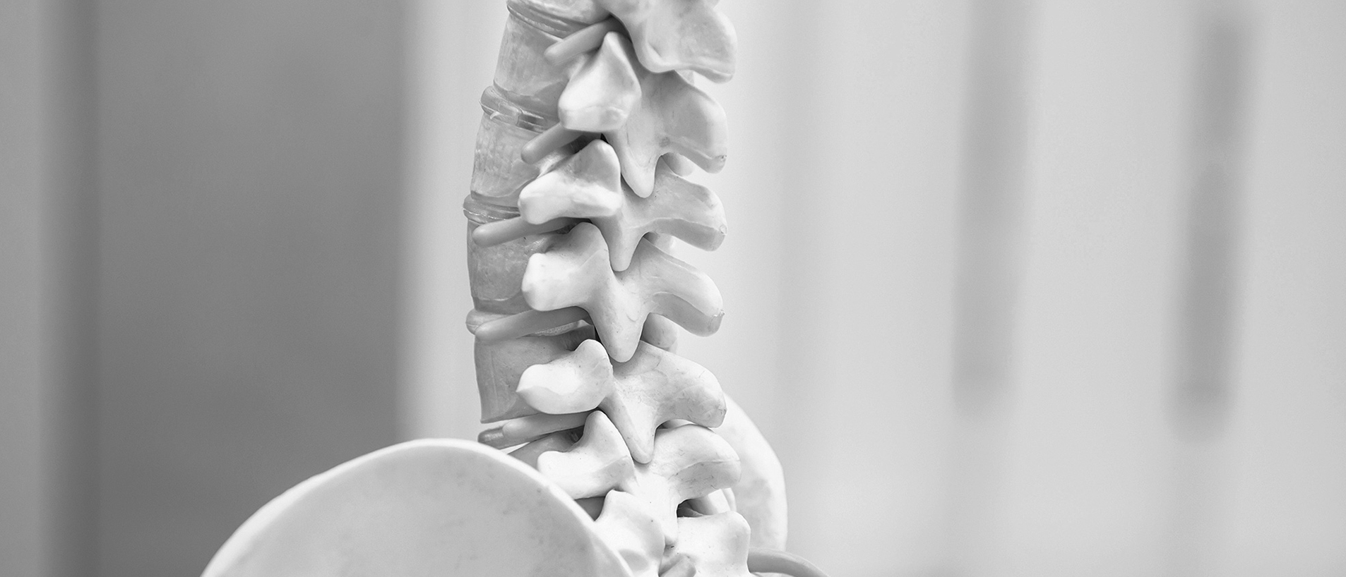 go creations Κέρκυρα Chiropractic Ιnstitute Project φωτογραφία με σπονδυλική στήλη
